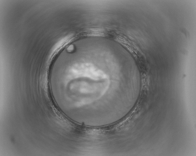 X0000115550293200912041037