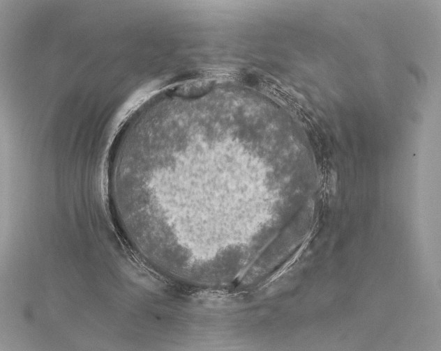 X0000115550294200912041037