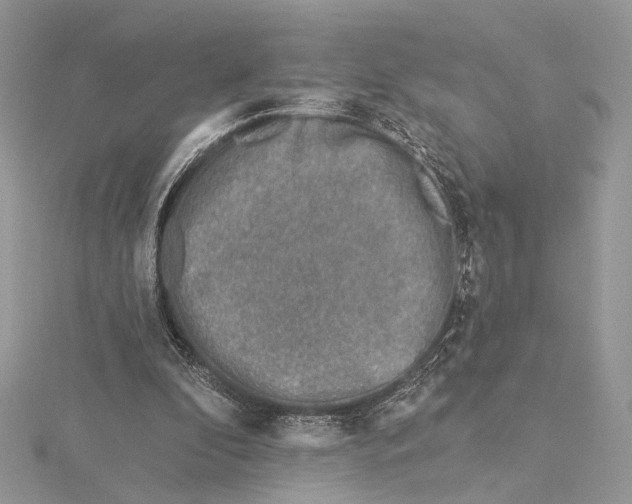 X0000115550296200912041037