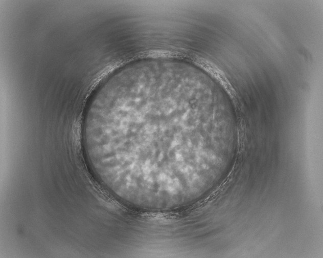 X0000115550297200912041037