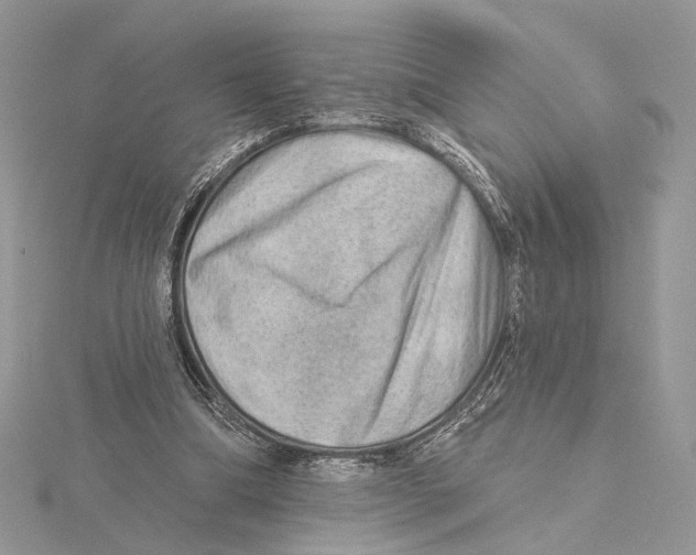 X0000115550298200912041037