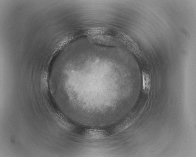 X0000115550300200912041037