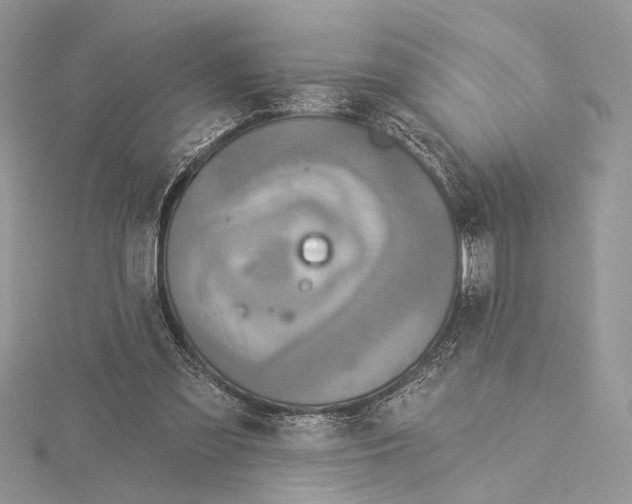 X0000115550301200912041037