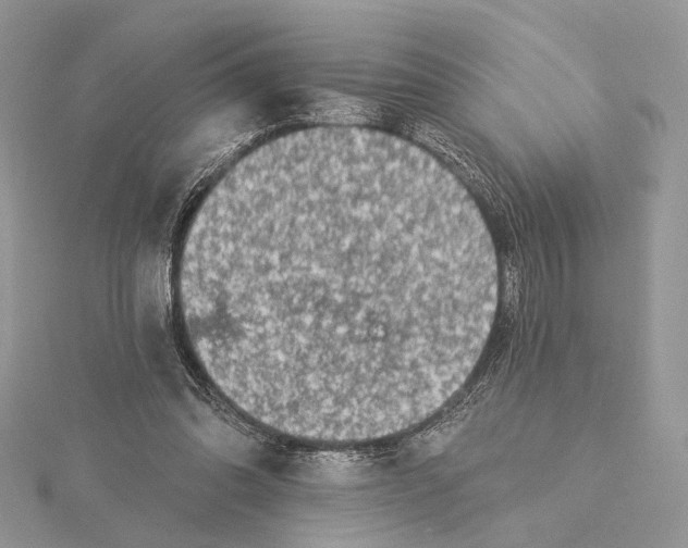 X0000115550302200912041037