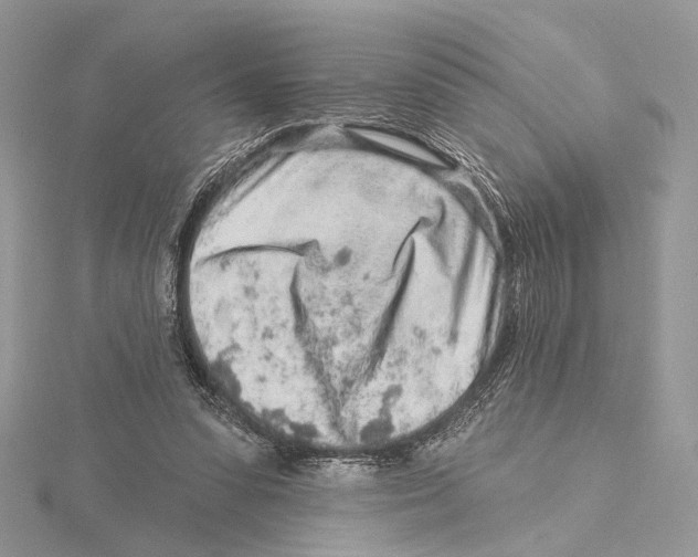 X0000115550303200912041037