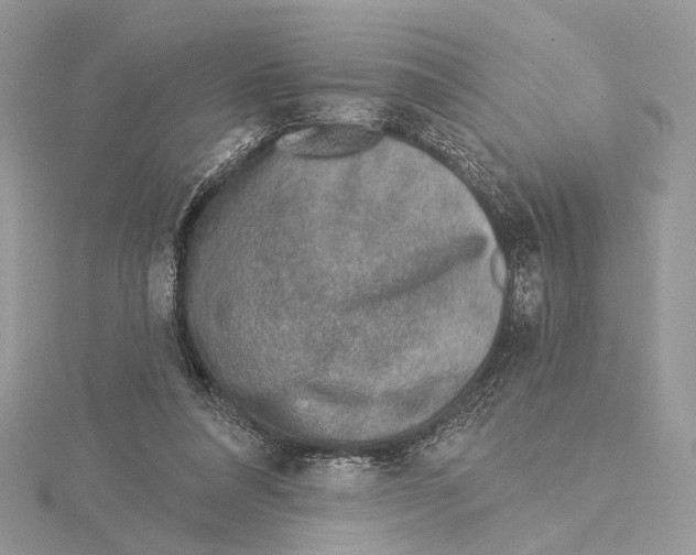 X0000115550304200912041037