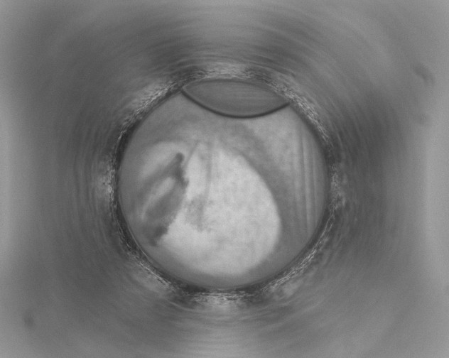 X0000115550305200912041037