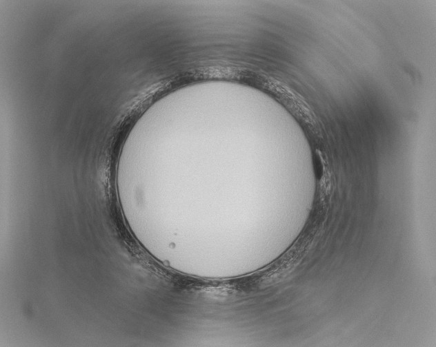 X0000115550306200912041037