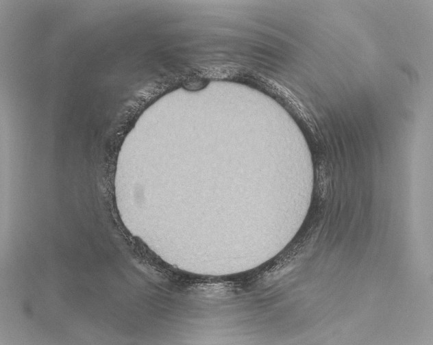 X0000115550307200912041037