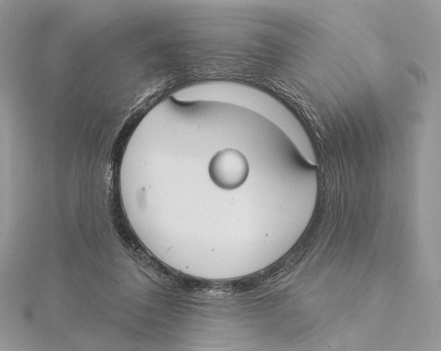 X0000115550308200912041037