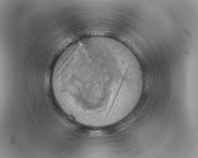 X0000115550309200912041037