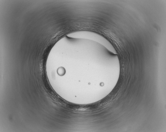 X0000115550312200912041037