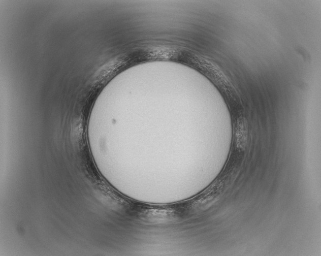 X0000115550314200912041037