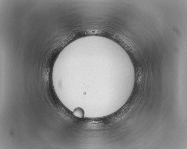 X0000115550315200912041037