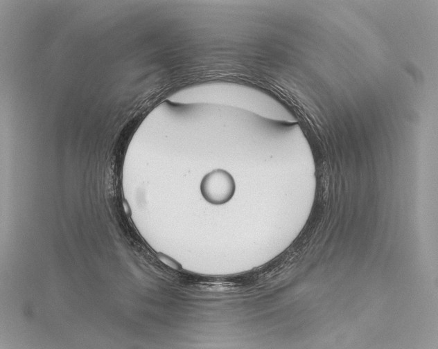 X0000115550316200912041037