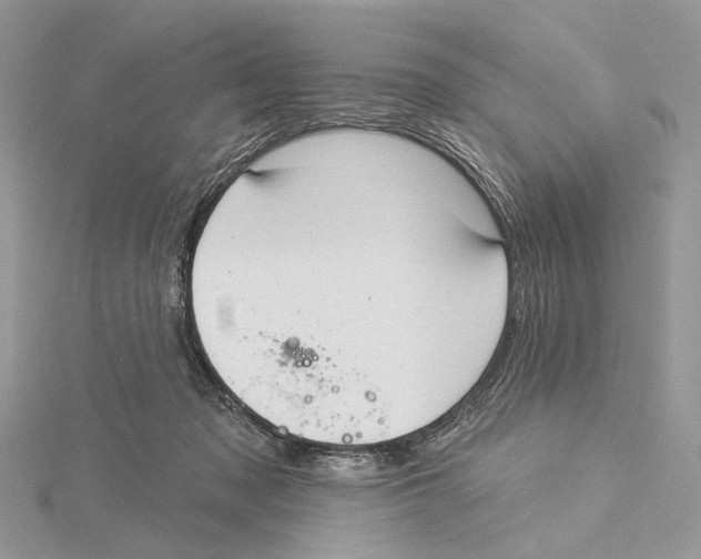 X0000115550317200912041037