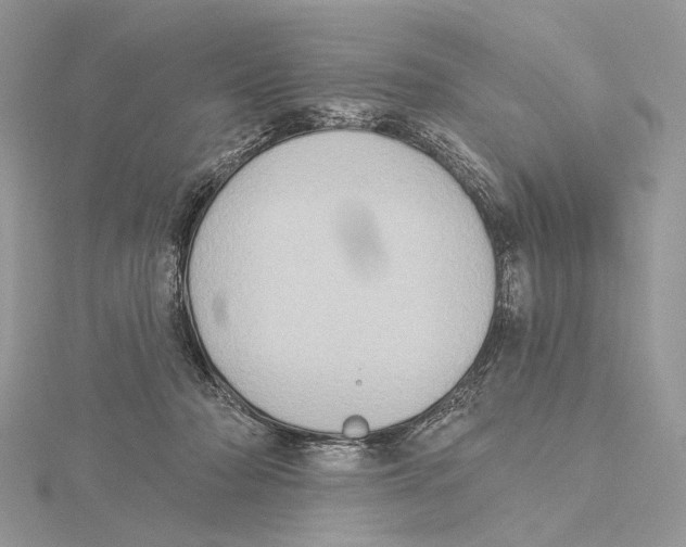 X0000115550318200912041037