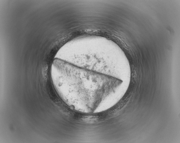 X0000115550319200912041037