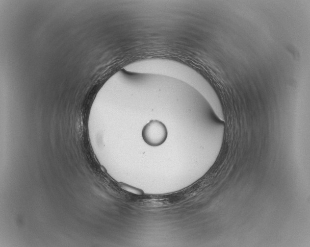 X0000115550320200912041037