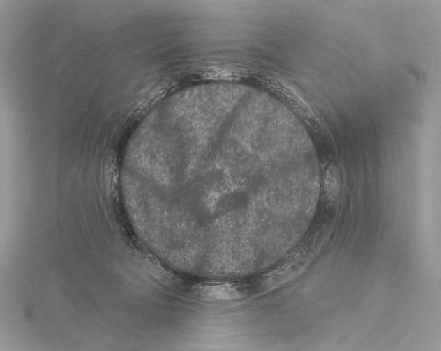 X0000115550322200912041037