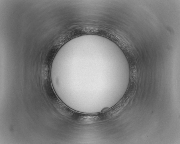 X0000115550323200912041037