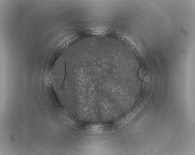 X0000115550325200912041037