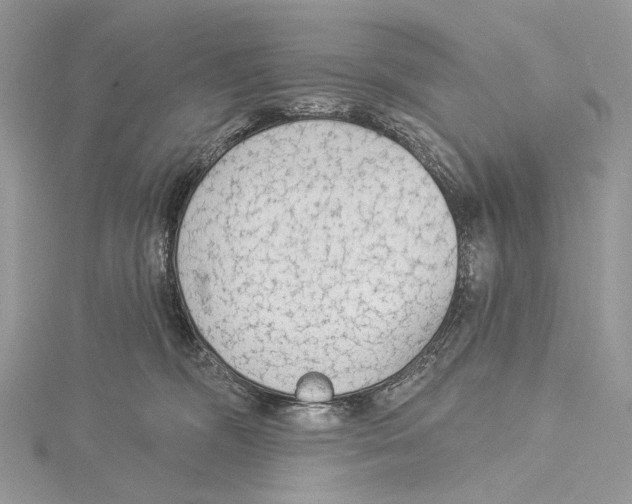 X0000115550326200912041037