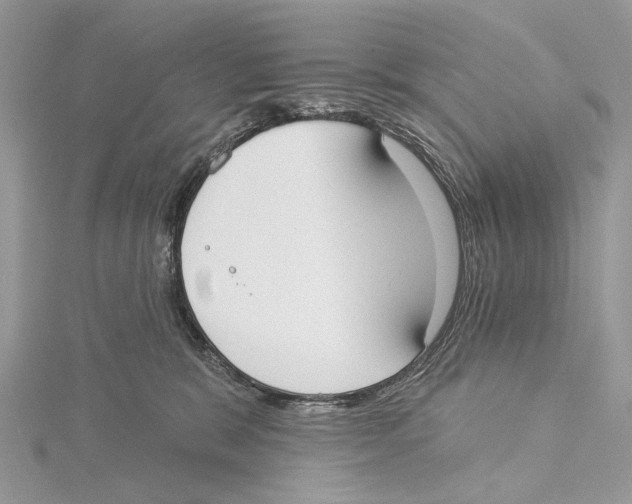 X0000115550327200912041037