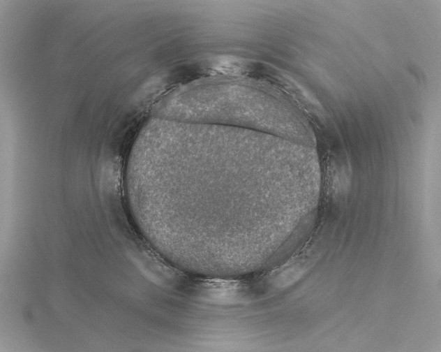 X0000115550328200912041037