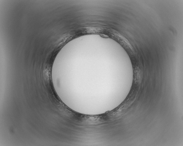 X0000115550329200912041037