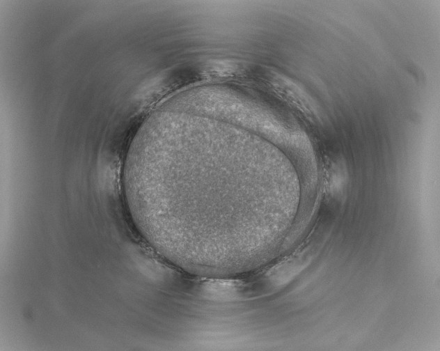 X0000115550332200912041037