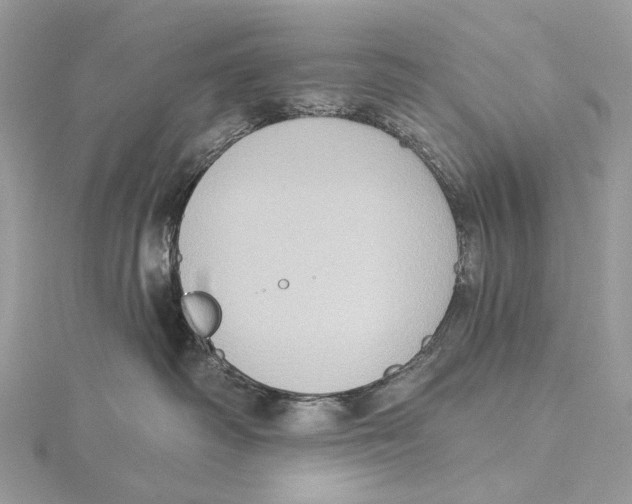 X0000115550334200912041037