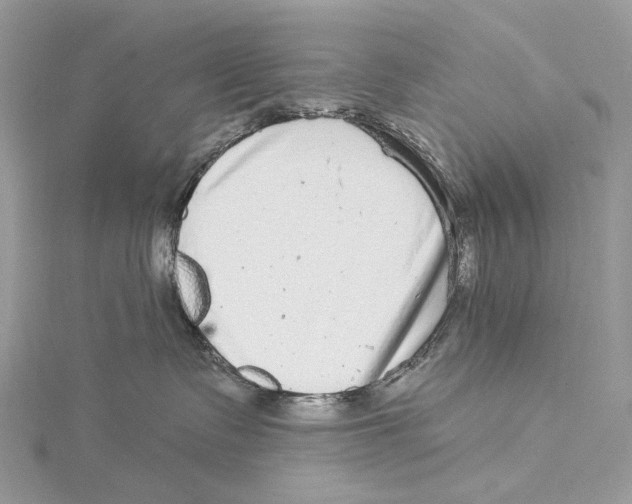 X0000115550335200912041037