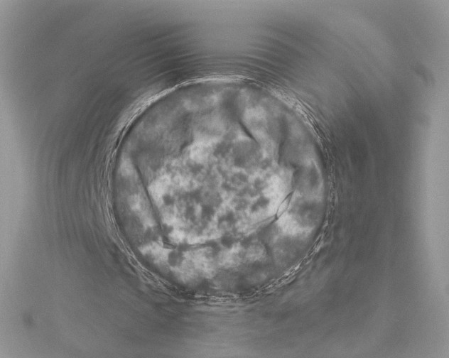 X0000115550337200912041036