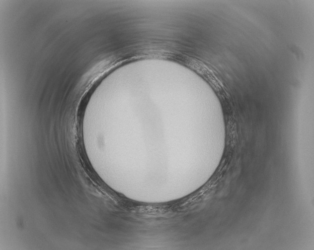 X0000115550338200912041036