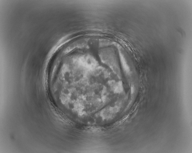 X0000115550343200912041036