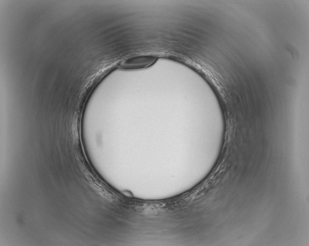 X0000115550345200912041036