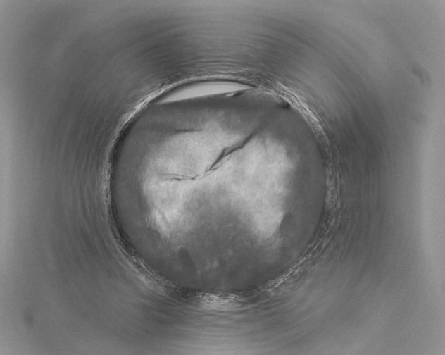 X0000115550346200912041036