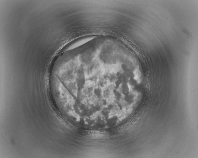 X0000115550347200912041036