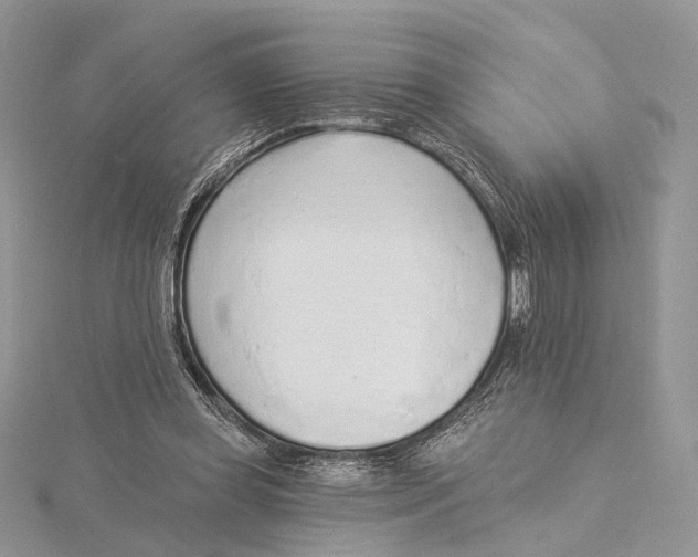 X0000115550349200912041036