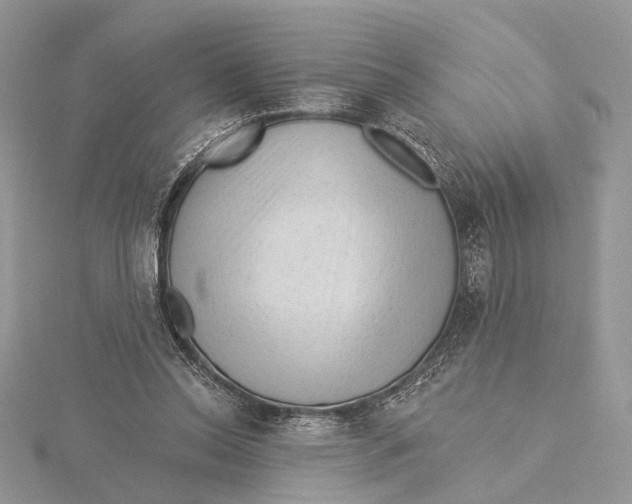 X0000115550350200912041036