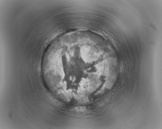 X0000115550353200912041036