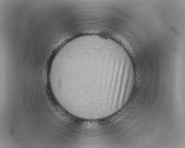 X0000115550354200912041036