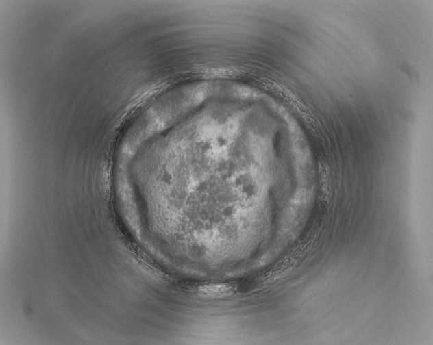 X0000115550357200912041036