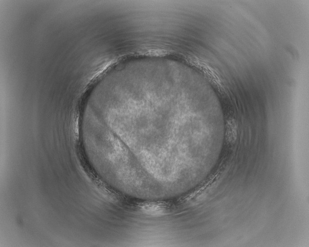 X0000115550358200912041036