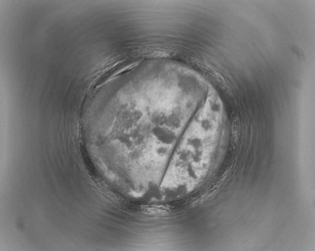 X0000115550359200912041036