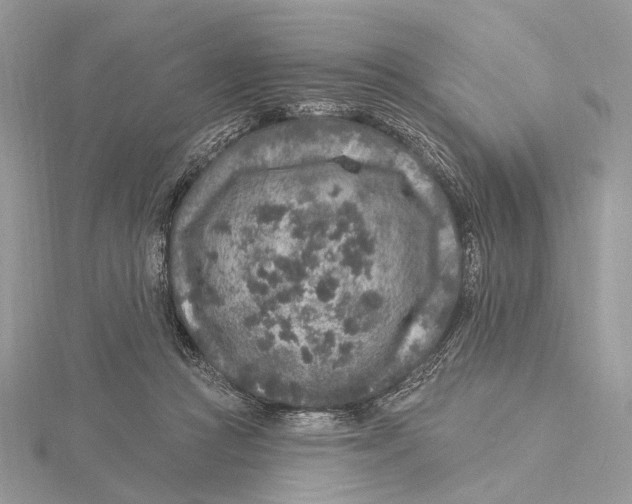 X0000115550361200912041036