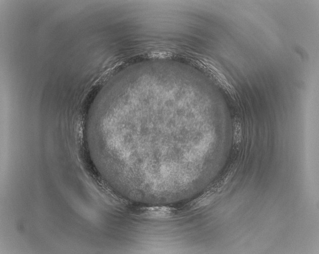 X0000115550363200912041036