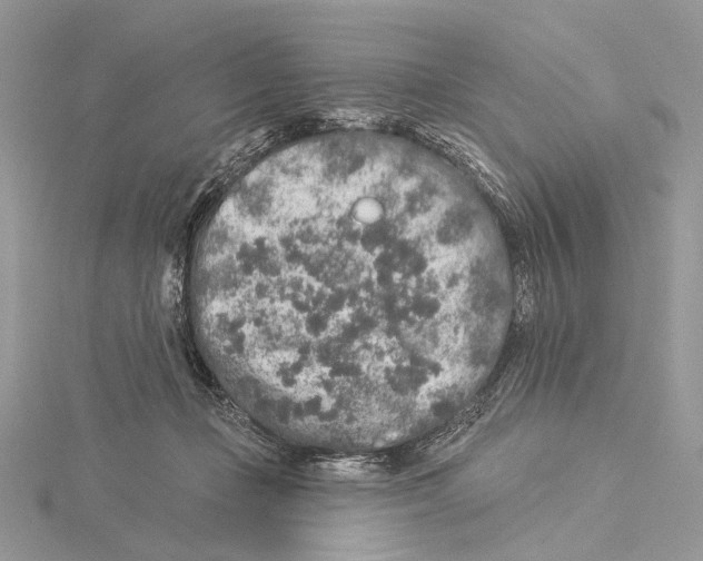 X0000115550365200912041036