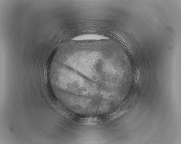 X0000115550366200912041036